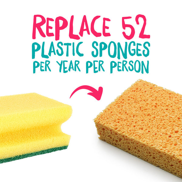 Compostable, Cellulose Sponges UK - Pack of 2